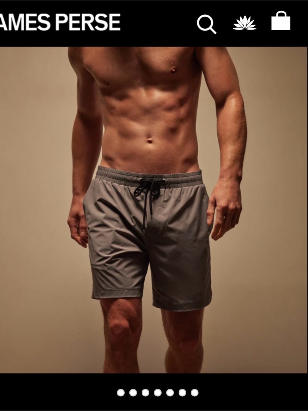 James Perse Men's Drawstring Swim Shorts